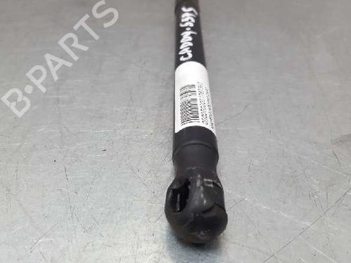 Hood lift support VW CADDY III MPV (2KB, 2KJ, 2CB, 2CJ) 2.0 SDI | BP13971939C139 
