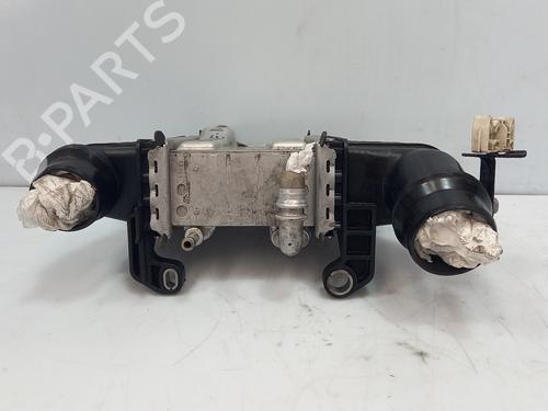 Intercooler RENAULT MEGANE IV Hatchback (B9A/M/N_) | BP37010612M30 - Image 4
