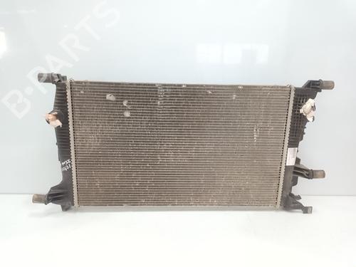 Køler RENAULT SCÉNIC III (JZ0/1_) [2008-2016]  25917625