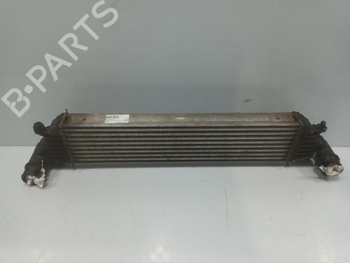 Used Intercooler FIAT 500L (351_, 352_) 1.3 D Multijet (199LXY1A, 199LXY11) (84 hp) 21131484