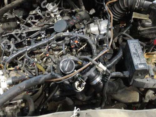 Steering column NISSAN PRIMERA Hatchback (P12) 1.9 dCi | BP12714160M21 