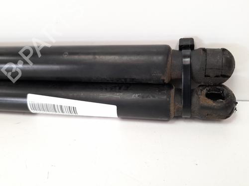 Tailgate lift support SEAT TOLEDO III (5P2)  | BP13975583C138 