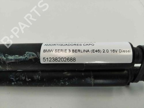 Hood lift support BMW 3 (E46) 320 d | BP13977852C139
