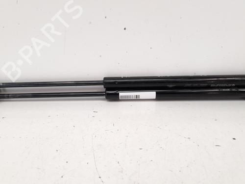 Used Tailgate lift support TATA INDICA 1.4 i (75 hp) 13978992