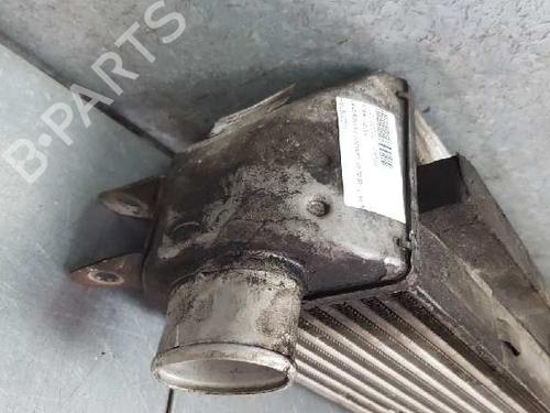 Intercooler LAND ROVER DISCOVERY III (L319) 2.7 TD 4x4 | BP12719279M30 