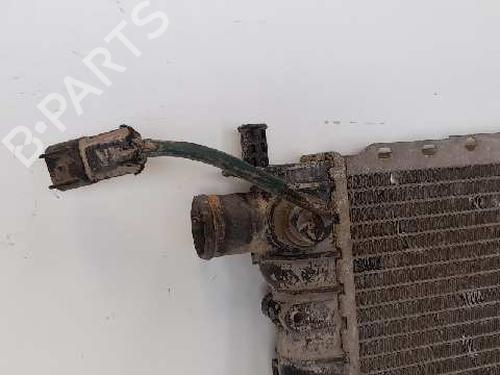 Water radiator FIAT CROMA (154_)  | BP12931113M31
