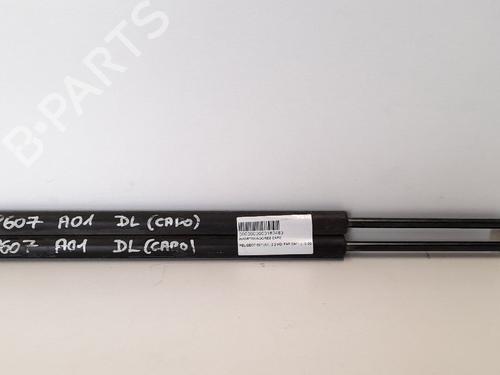 Used Hood lift support PEUGEOT 607 (9D, 9U) 2.2 HDi (133 hp) 13972247