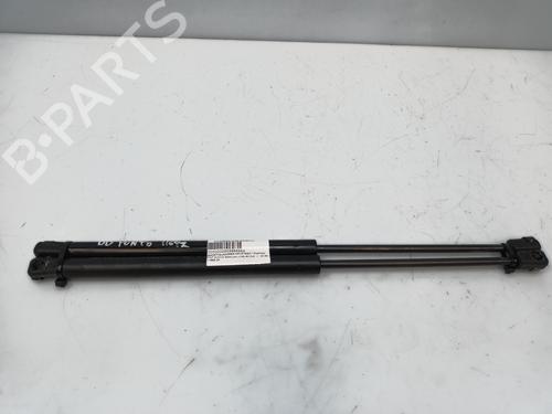 Heckklappendämpfer für FIAT PUNTO (176_) 60 1.2 (176AP, 176AR, 176AQ, 176BB) (60 hp) 19098656