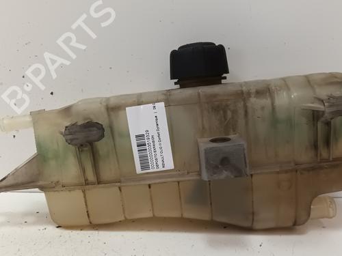Used Expansion tank RENAULT CLIO III (BR0/1, CR0/1) 1.5 dCi (C/BR0G, C/BR1G) (68 hp) 14847095