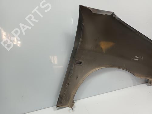 Left front fenders CITROËN BERLINGO / BERLINGO FIRST MPV (MF_, GJK_, GFK_) 1.9 D (MFDJY) | BP22195478C41 