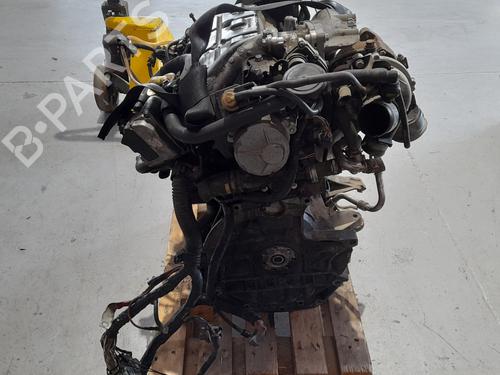 Engine RENAULT MEGANE II (BM0/1_, CM0/1_) 1.9 dCi (BM0G, CM0G) | BP12766376M1 