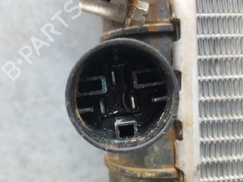 Water radiator VOLVO 440 (445) 1.8 | BP12719938M31 