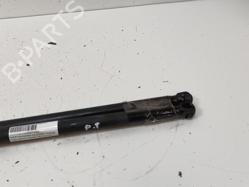 Tailgate lift support FORD FOCUS II Turnier (DA_, FFS, DS) 1.6 | BP17832835C138 