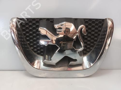 Used Grille PEUGEOT 207 (WA_, WC_) [2006-2015]  31131690