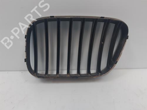 Grille BMW X5 (E53) 3.0 d | BP18962937C40 