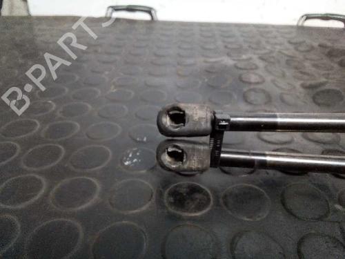 Tailgate lift support SEAT ALHAMBRA (7V8, 7V9) 1.9 TDI | BP13986654C138 