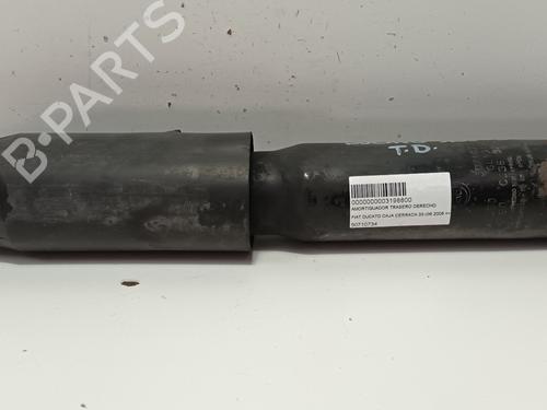 Used Right rear shock absorber FIAT DUCATO Van (250_) 160 Multijet 3,0 D (158 hp) 12790364