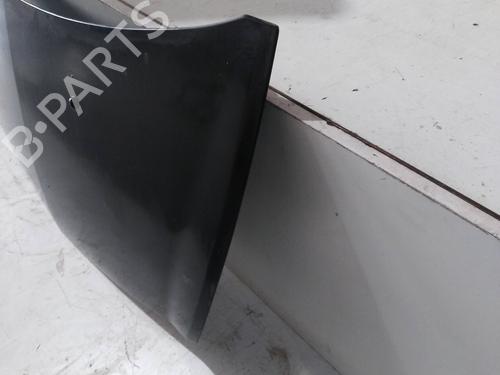 Hood RENAULT CLIO III (BR0/1, CR0/1) 1.4 16V | BP12719288C1 