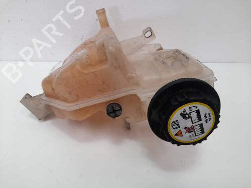 Expansion tank LAND ROVER DISCOVERY III (L319) 2.7 TD 4x4 | BP12785147C120 