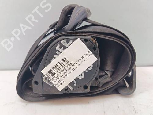 Sikkerhedssele bag højre Sikkerhedssele bag højre 38759254 38759254