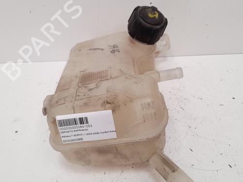 Expansion tank RENAULT SCÉNIC II (JM0/1_) 1.5 dCi (JM02, JM13) | BP12779681C120 