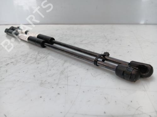 Tailgate lift support PEUGEOT 307 (3A/C) 2.0 HDi 90 | BP25143203C138 