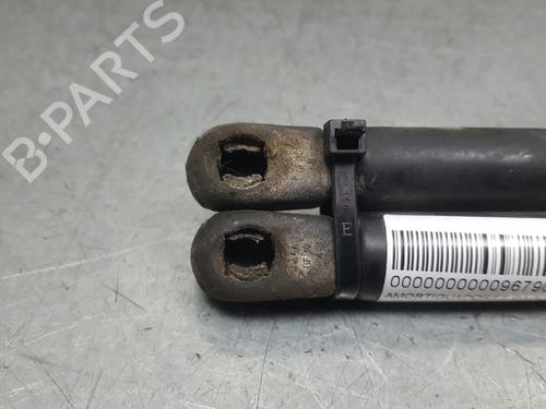 Hood lift support TOYOTA AVALON Saloon (_X2_)  | BP13988243C139