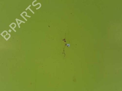 Hood SEAT AROSA (6H1) 1.0 | BP12689554C1