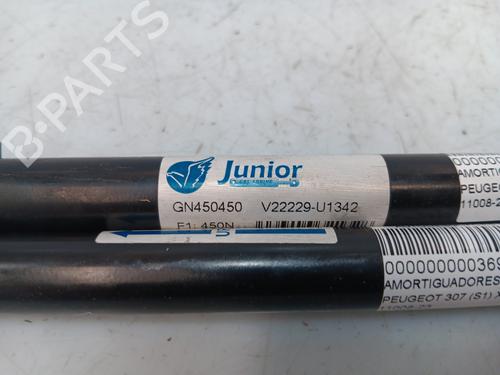 Tailgate lift support PEUGEOT 307 (3A/C) 2.0 HDi 90 | BP25143203C138 
