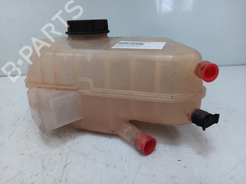 Used Expansion tank FORD KA+ III (UK, FK) 1.2 Ti-VCT (85 hp) 25154438