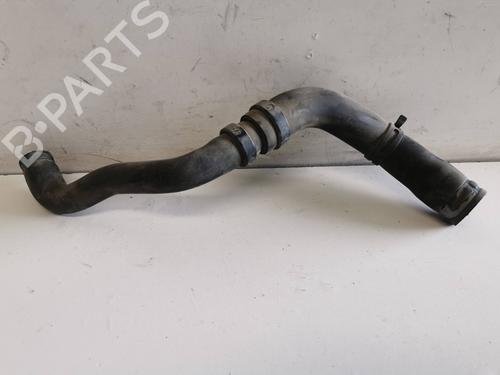 Used Pipe NISSAN KUBISTAR Van (X76) 1.5 dCi (65 hp) 13981258