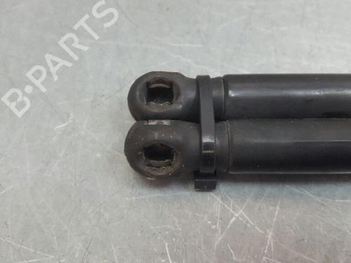 Tailgate lift support SKODA RAPID (NH3, NK3, NK6) 1.6 TDI | BP13975471C138 
