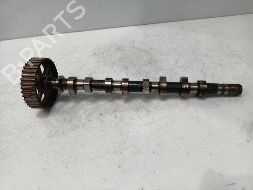 Used Other RENAULT KANGOO (KC0/1_) 1.5 dCi (KC07) (65 hp) 23079928