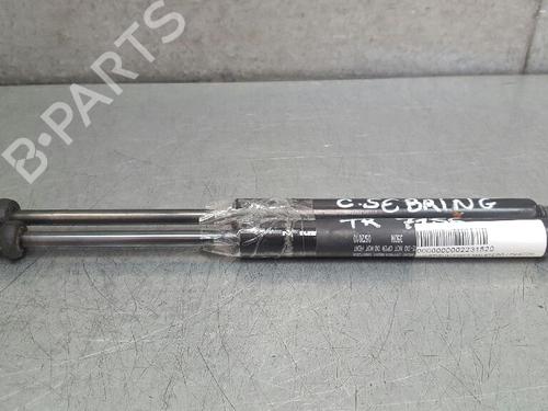 Used Tailgate lift support CHRYSLER SEBRING (JR) 2.7 V6 24V (203 hp) 13975396