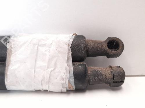 Tailgate lift support SEAT TOLEDO III (5P2)  | BP13973596C138 