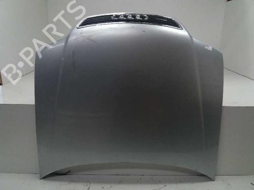 Panser AUDI A6 C5 (4B2) 2.5 TDI (150 hp) 12723084