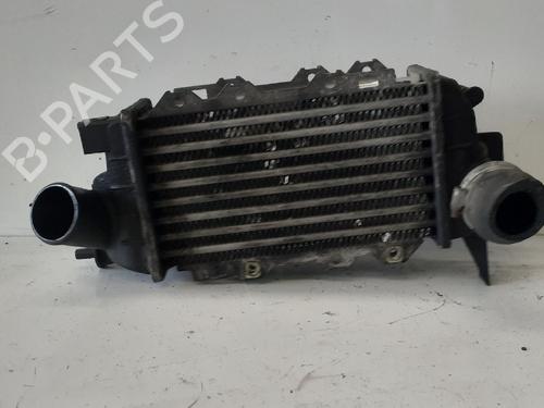 Used Intercooler OPEL VECTRA B (J96) 1.7 TD (F19) (82 hp) 12762897