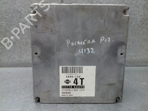 Used Engine control unit (ECU) NISSAN PRIMERA Hatchback (P12) 2.2 dCi (139 hp) 12703293