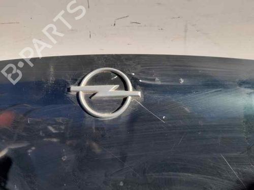 Hood OPEL FRONTERA B (U99) 2.2 DTI (6B_ZC, 6B_VF, 6B_66, 6B_76) | BP12688909C1 