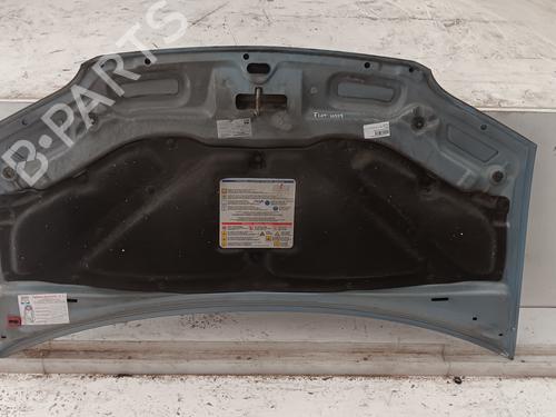 Hood FIAT IDEA (350_)  | BP29718486C1 