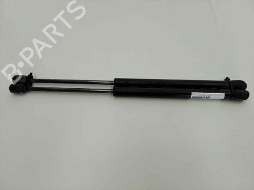 Used Tailgate lift support RENAULT CLIO II (BB_, CB_) 1.9 D (B/CB0E, BB0J) (64 hp) 32031720