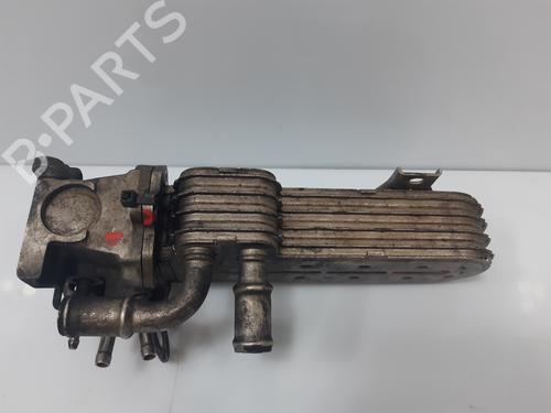Egr AUDI A3 (8P1)  | BP18971445M69 