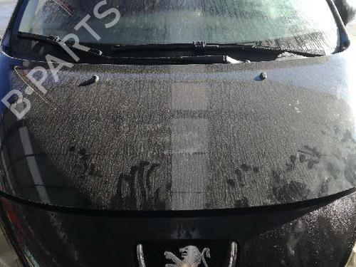 Heater resistor PEUGEOT 207 (WA_, WC_)  | BP12858037M108 