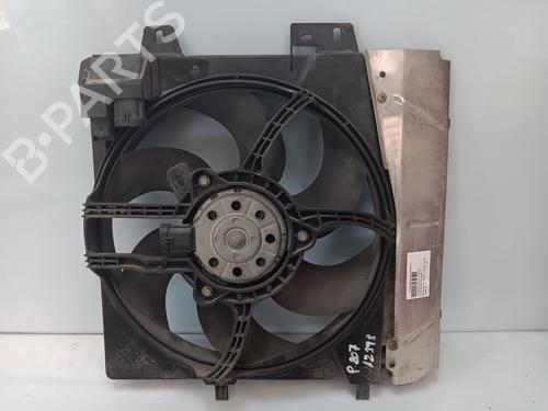 Used Radiator fan PEUGEOT 207 (WA_, WC_) [2006-2015]  28213045