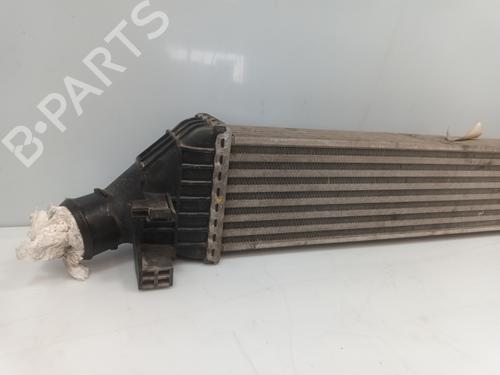 Intercooler DODGE JOURNEY 2.0 CRD | BP36219312M30 - Image 2