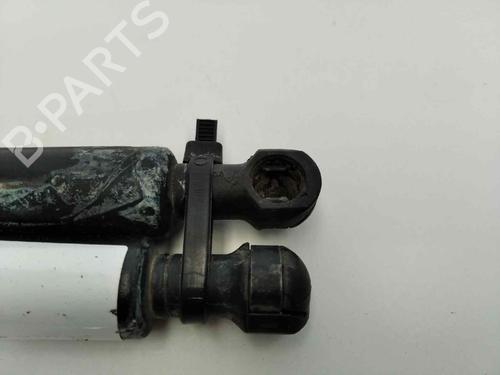 Hood lift support BMW 3 (E46) 320 d | BP13977814C139