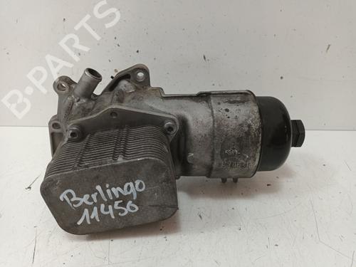 Used Other CITROËN BERLINGO MULTISPACE (B9) 1.6 HDi 75 16V (75 hp) 17499443