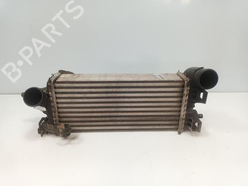 Intercooler Intercooler FORD C-MAX II (DXA/CB7, DXA/CEU) [2010-2019] 36239470 36239470
