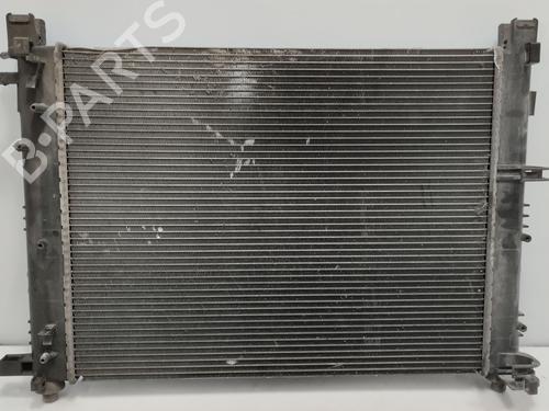 Water radiator DACIA LODGY (JS_) | BP32306005M31 - Image 4