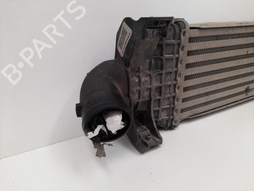 Intercooler FORD FOCUS C-MAX (DM2)  | BP12750463M30 